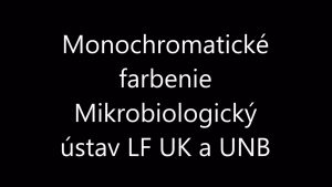 Monochromatické farbenie