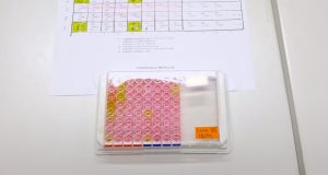 Mikrobiológia 1 (VL)