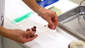 PC č.2b) – Mikroskopická diagnostika baktérií, Natívny preparát, Orientačné farbenie, Gramovo farbenie