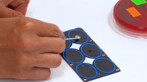 PC č. 7 – Mikrobiologická diagnostika infekcií uropoetického a urogenitálneho systému, infekcií kože a mäkkých tkanív