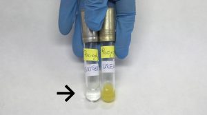 PC č. 11 – Mikrobiologická diagnostika infekcií v stomatologickej ambulancii