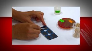 PC č. 12 – Mikrobiologická diagnostika odontogénnych pyogénnych infekcií