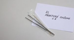 PC č.6 – Testovanie citlivosti baktérií na antibakteriálne liečivá – kvalitatívne a kvantitatívne metódy